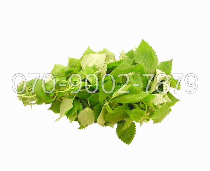 Rau kinh giới ( túi )