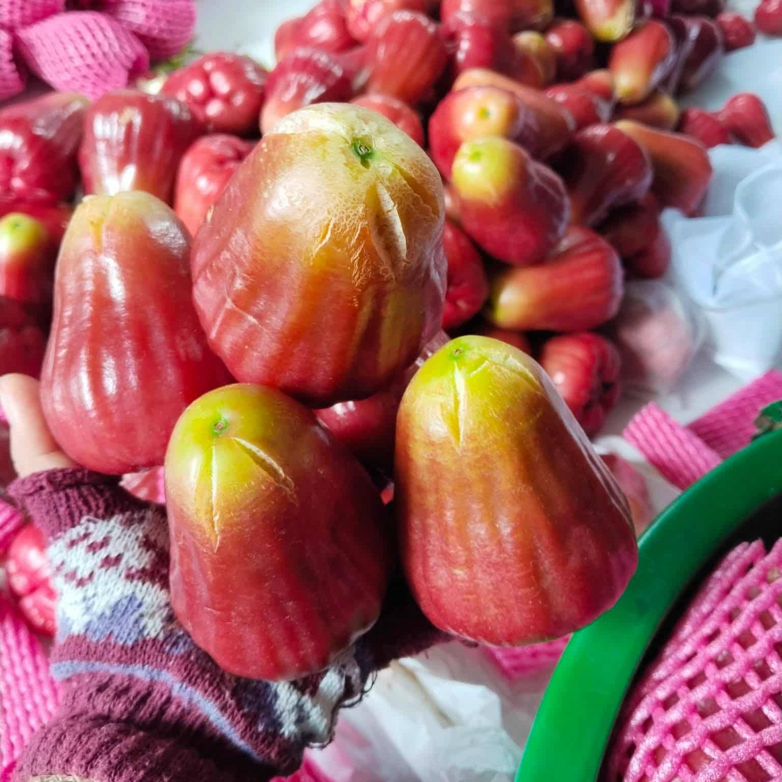 Mận MST_thumbnail_3
