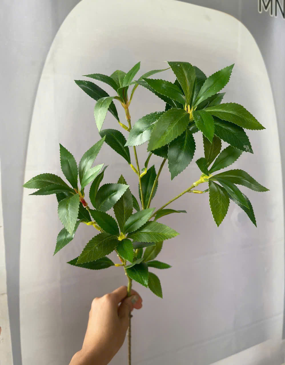 Lá Sâm Trang Trí Đám Cưới – Lá Giả Như Thật Cao Cấp Bền Đẹp Dùng Decor Sự Kiện Sang Trọng