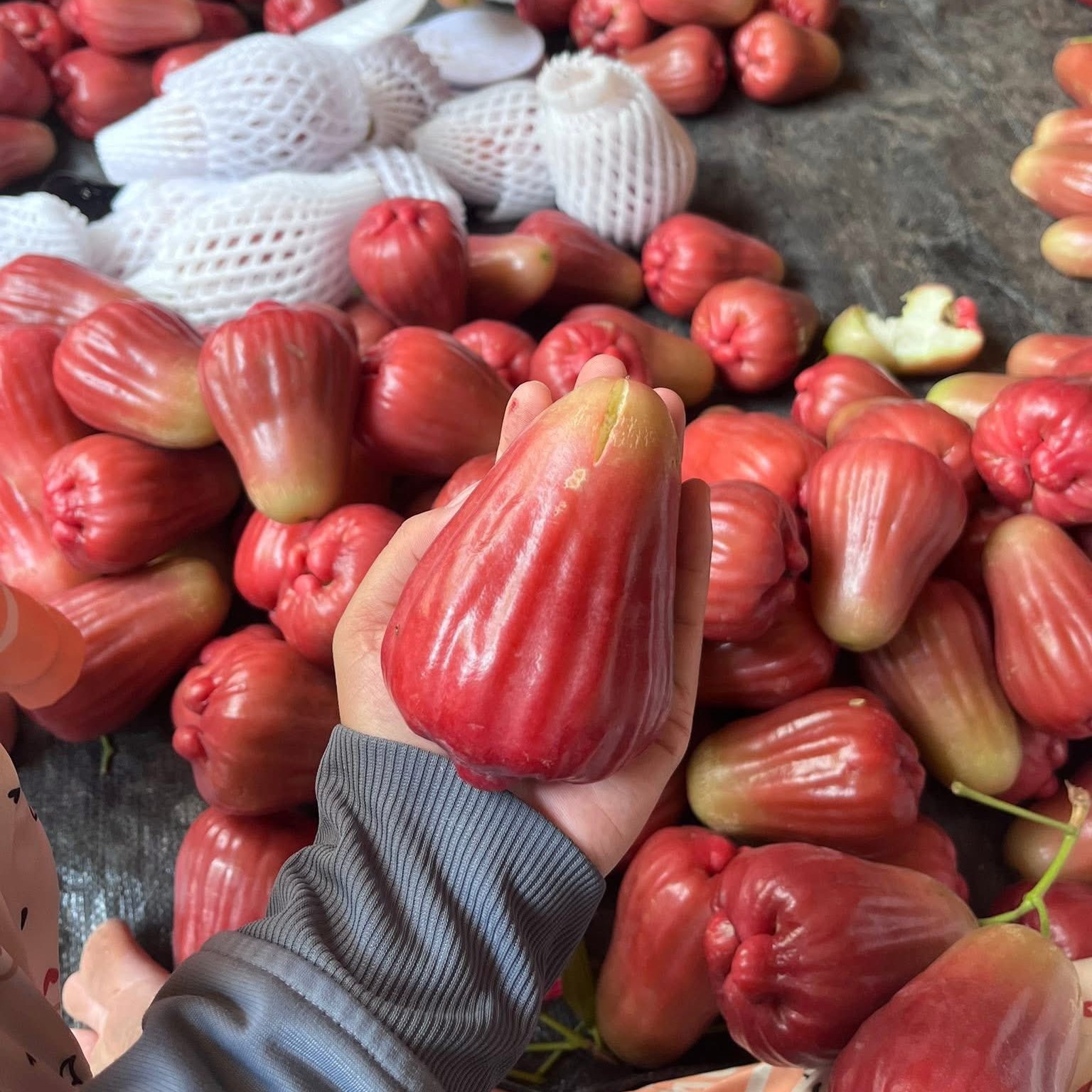Mận MST