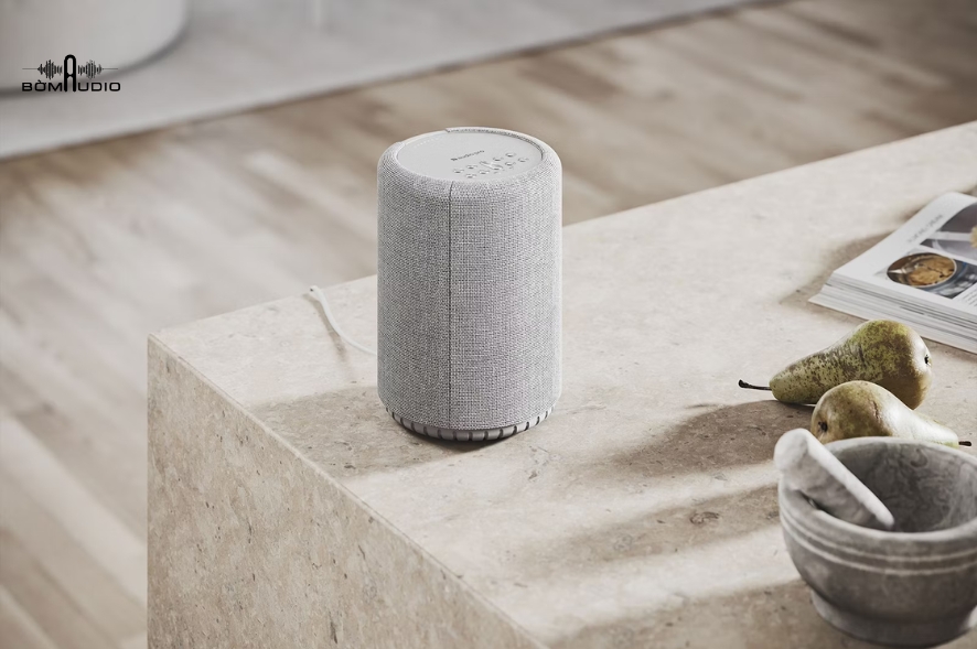 Loa Bluetooth AUDIO PRO G10