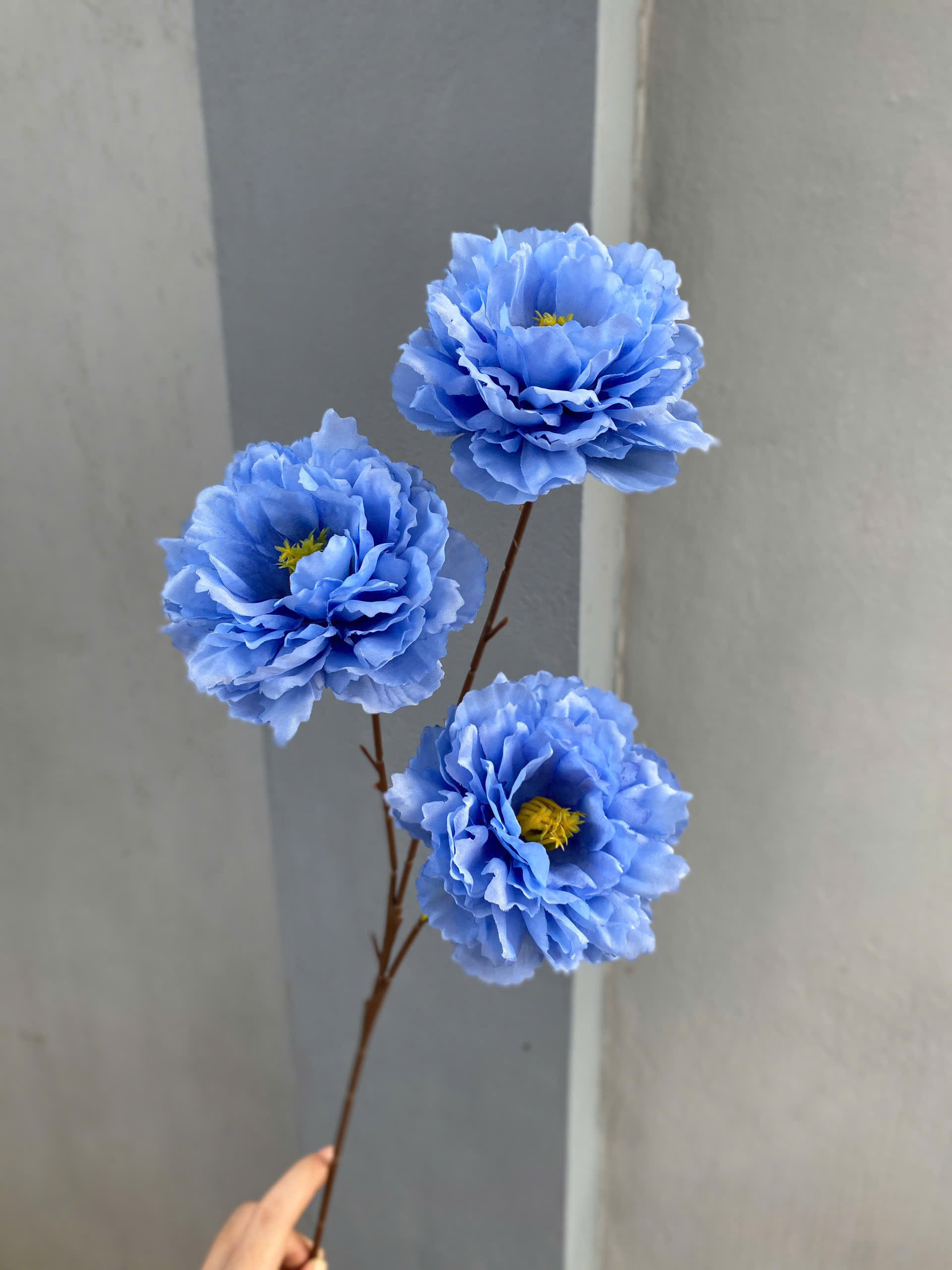 CÀNH MỘC TRÀ 3 BÔNG