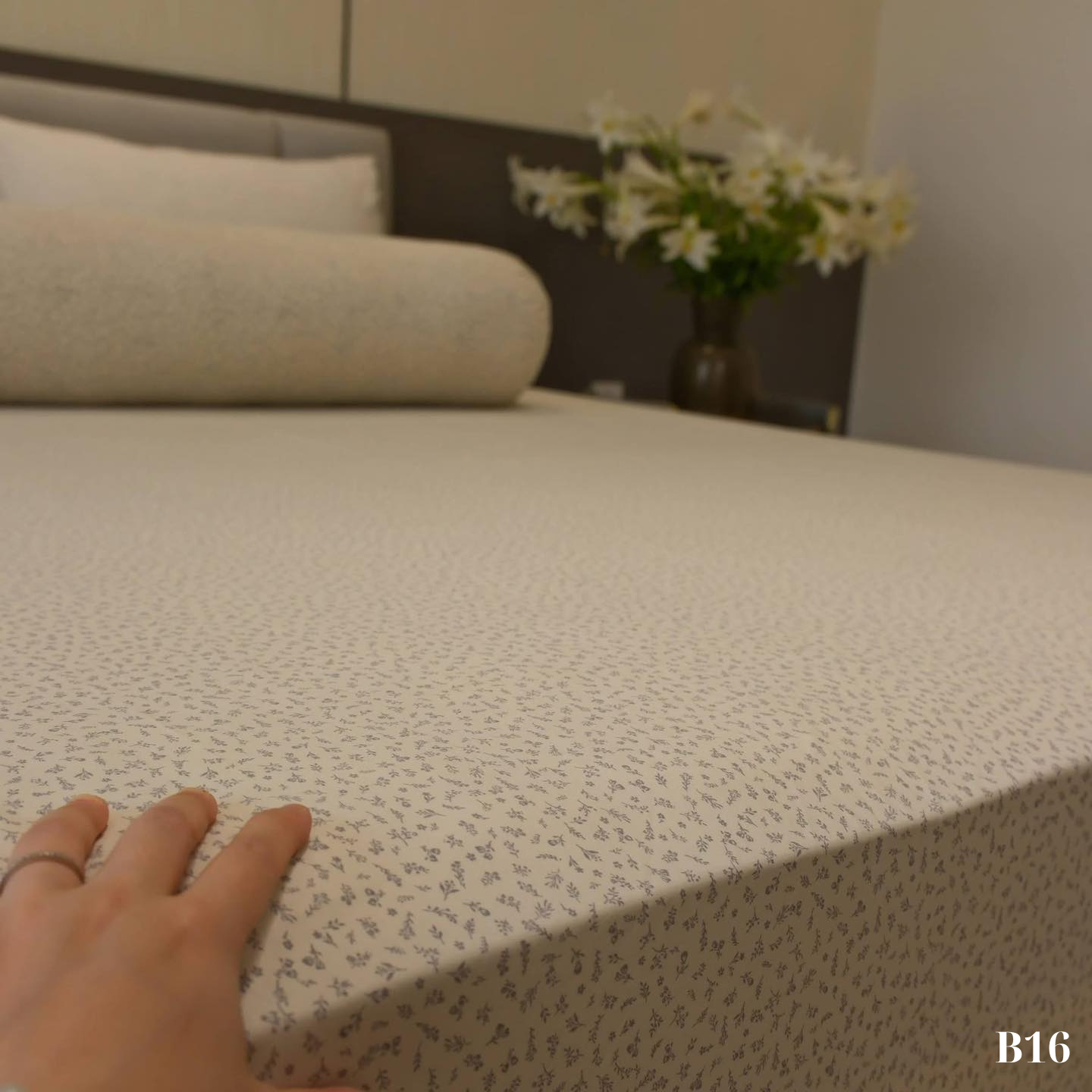 B16 BO GA_thumbnail_8