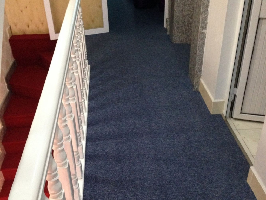 Thảm cuộn BD-005 màu xanh