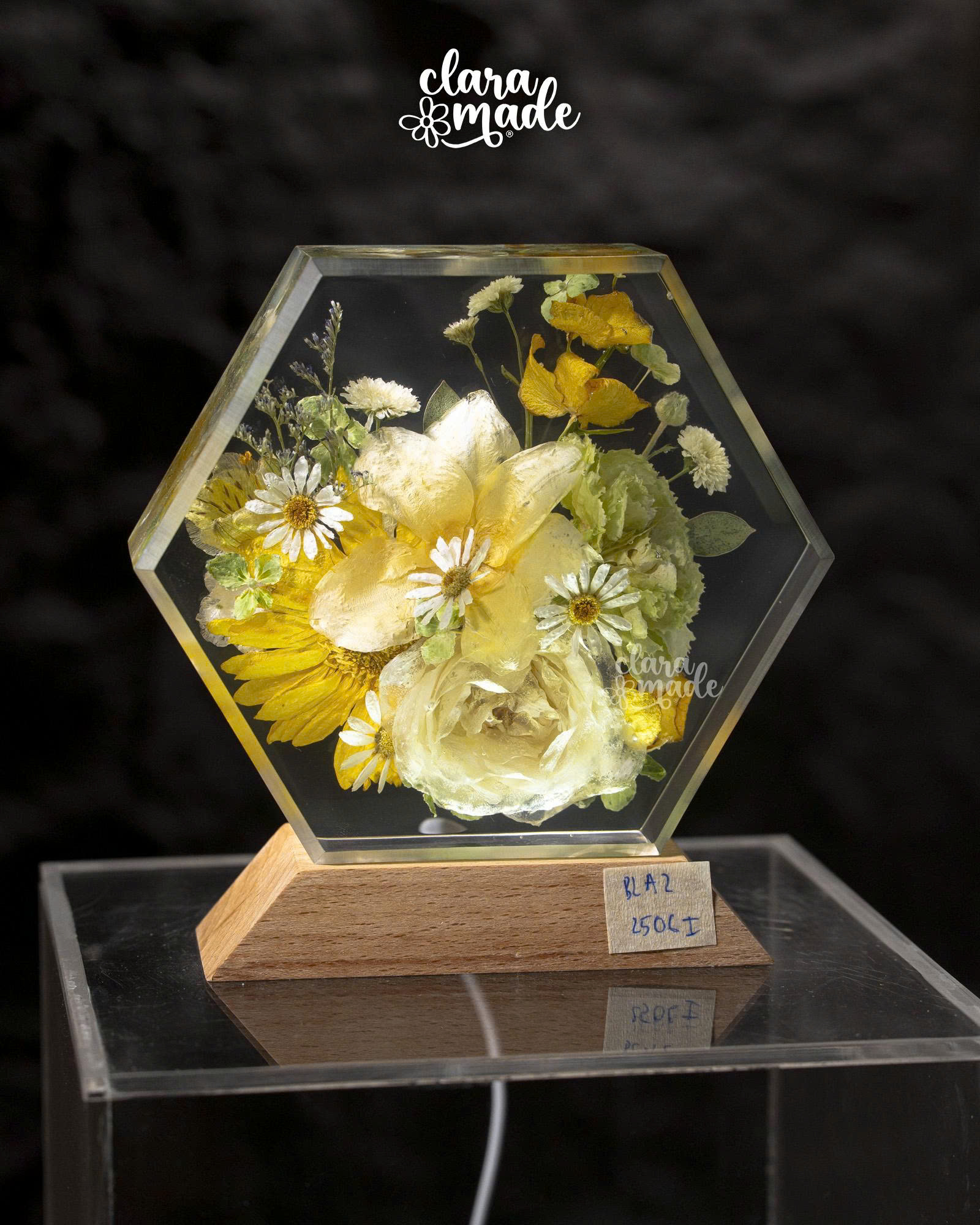 Đèn hoa khô Bloomlight Garden 2606_thumbnail_20