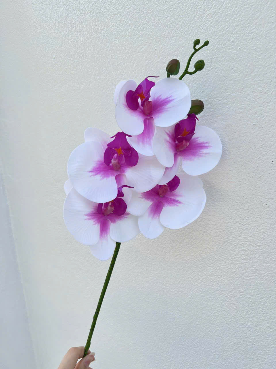 Cành Lan Ướt 7 Bông Hoa Lụa Trang Trí Đám Cưới – Sang Trọng Như Hoa Thật, Decor Sự Kiện Cao Cấp, Bền Đẹp Tiết Kiệm_thumbnail_3
