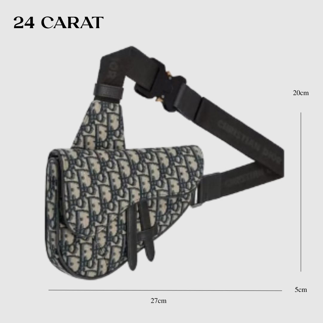 Túi bao tử Dior Saddle Bag_thumbnail_0