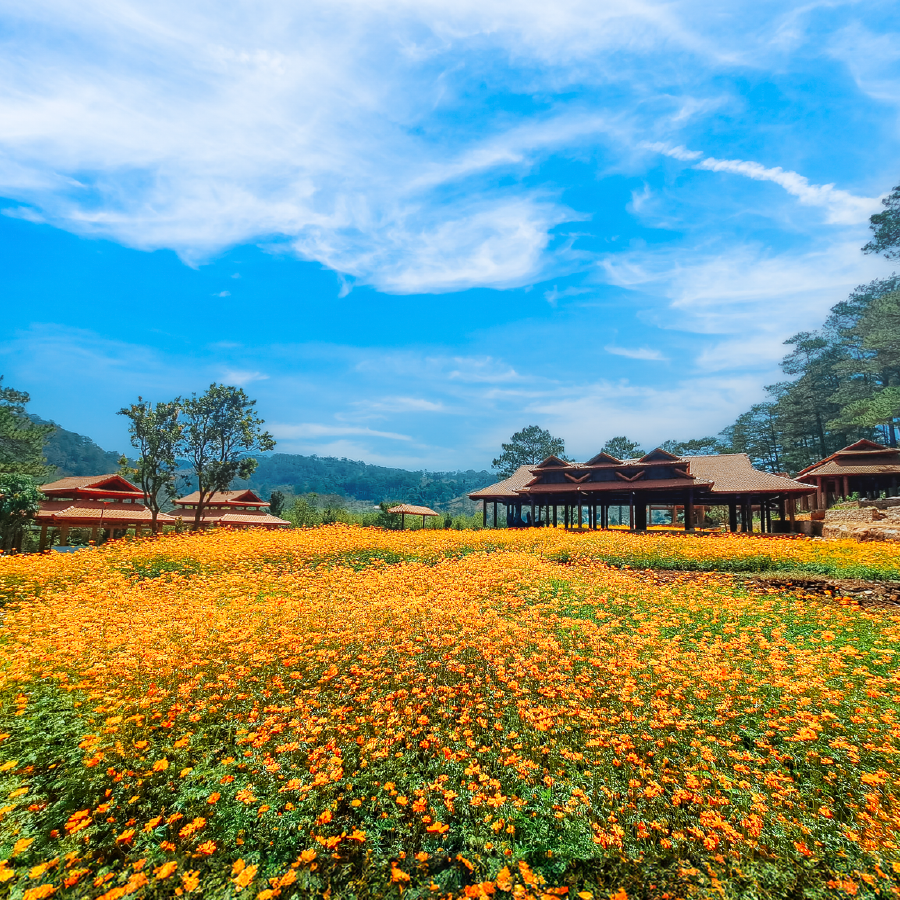 Tour Khinh khí cầu săn mây_2