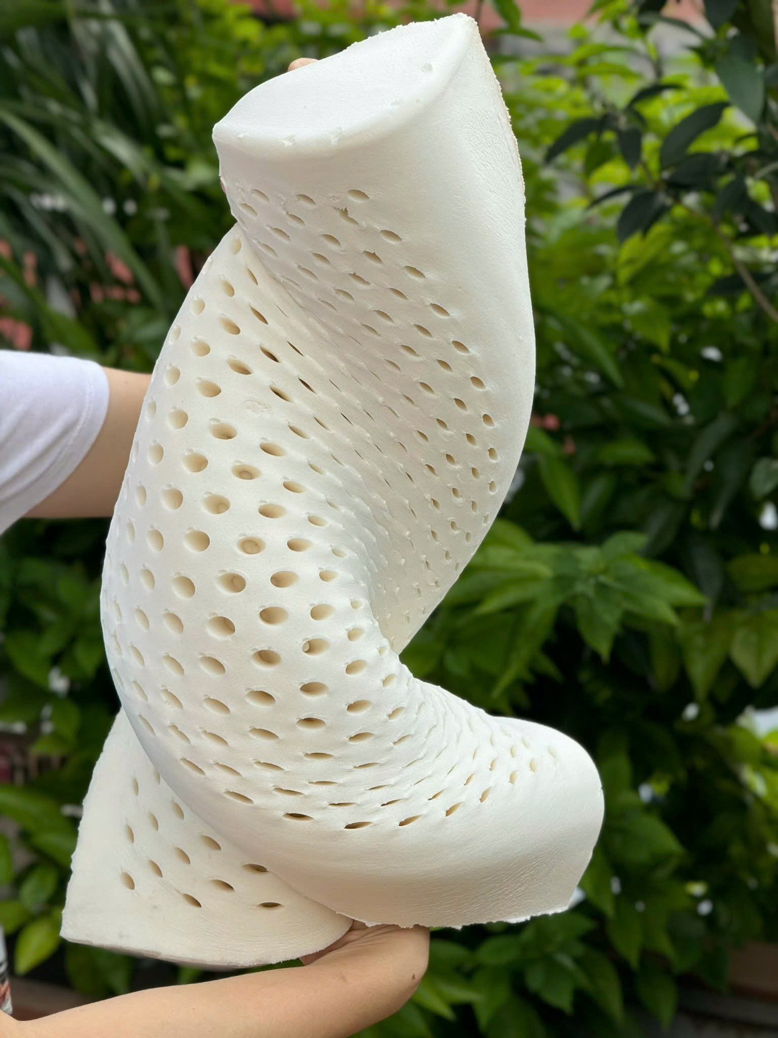 GỐI CAO SU THIÊN NHIÊN_thumbnail_2