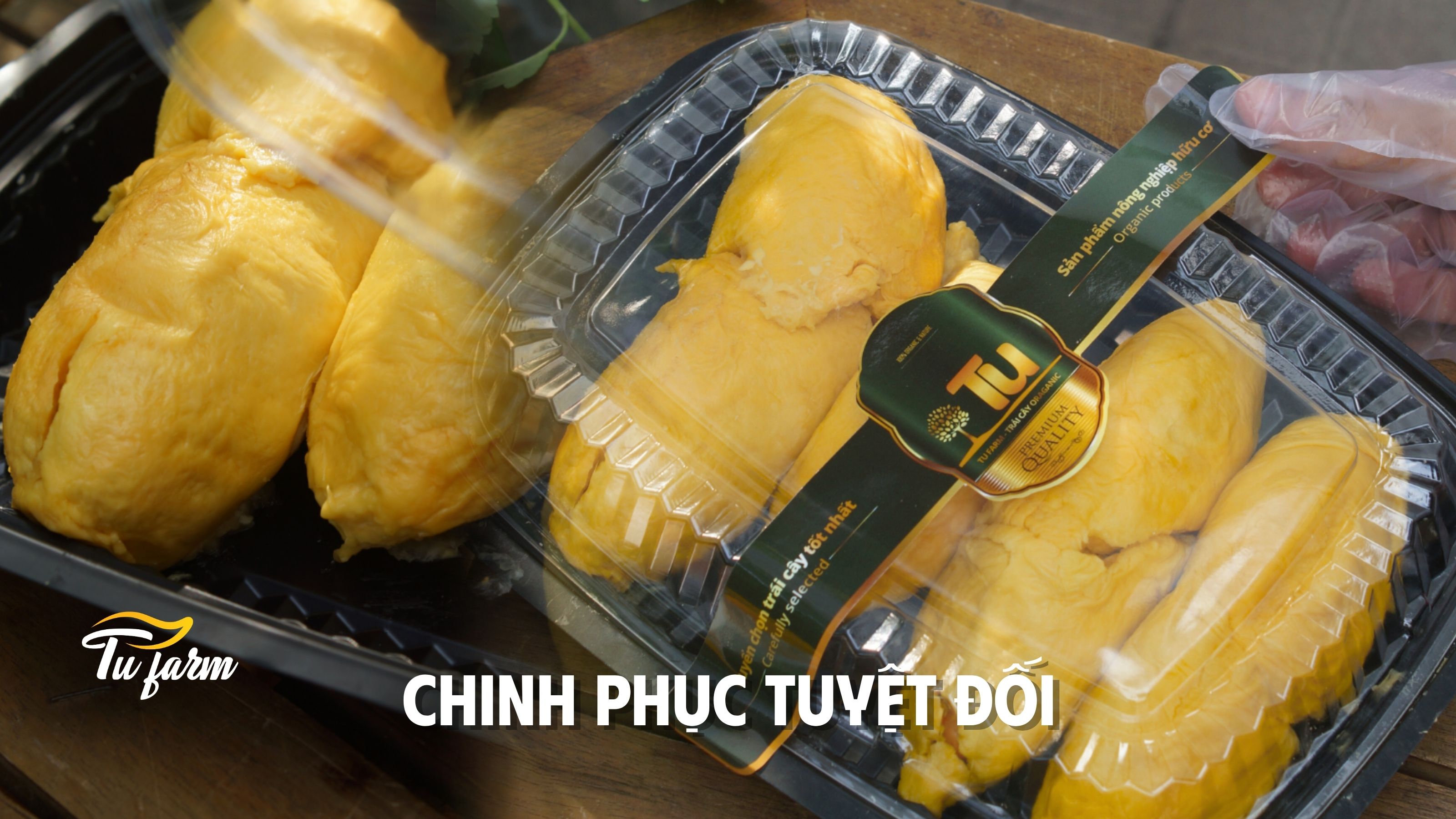 sầu riêng rm1 tách sẵn 