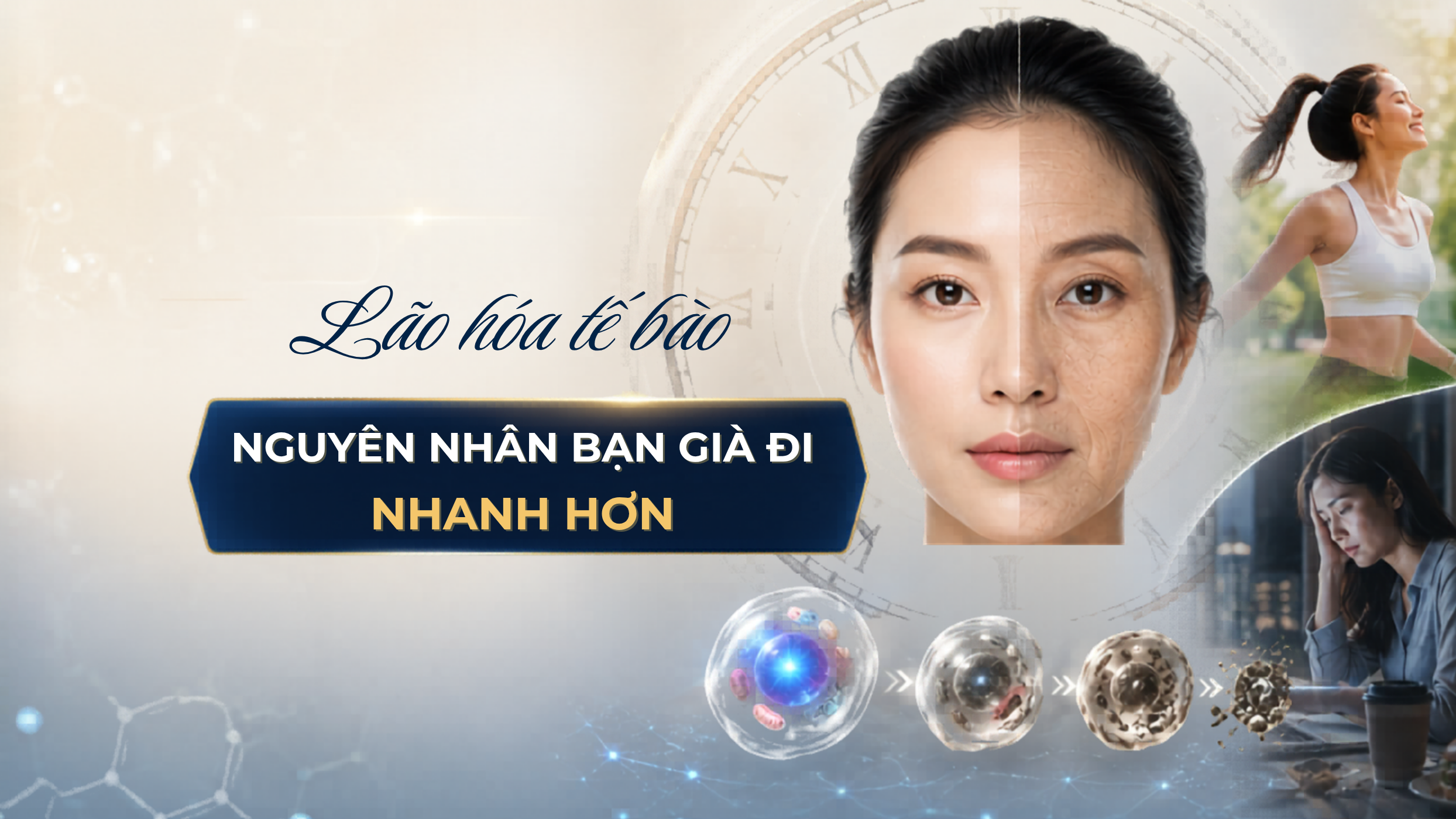 Lão hóa tế bào diễn ra mỗi ngày - Vì sao bạn già đi nhanh hơn người khác?