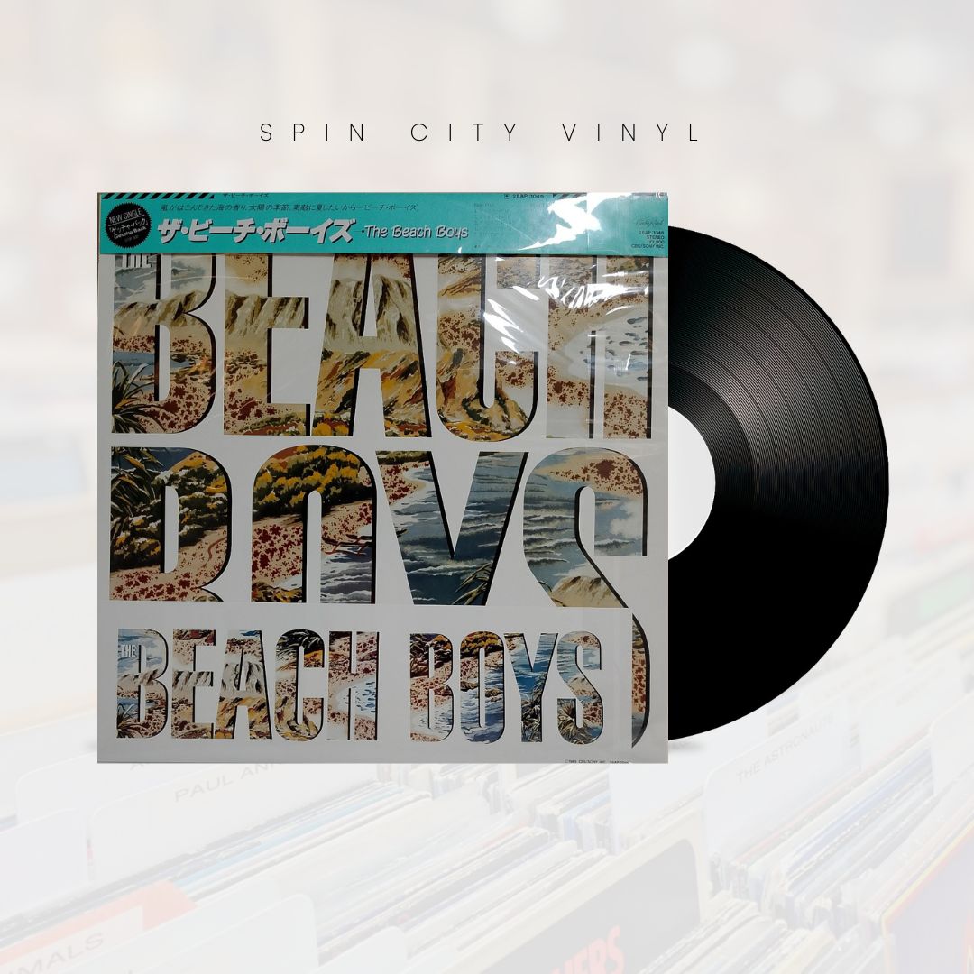 BEACH BOYS - BEACH BOYS 