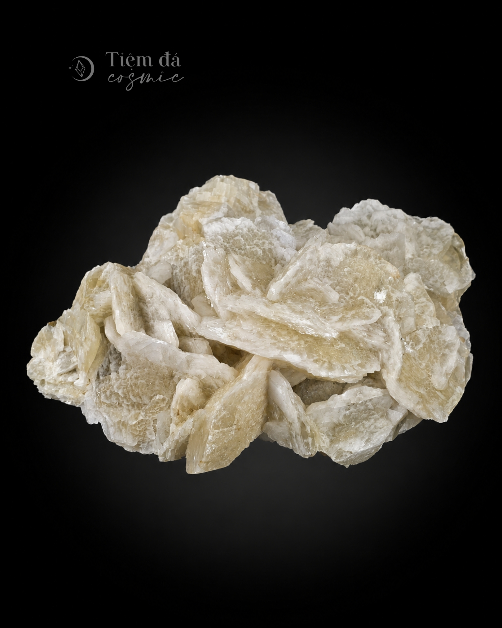 Biến Thể Baryte Tinh Thể Hoa Hồng Sa Mạc Desert Rose