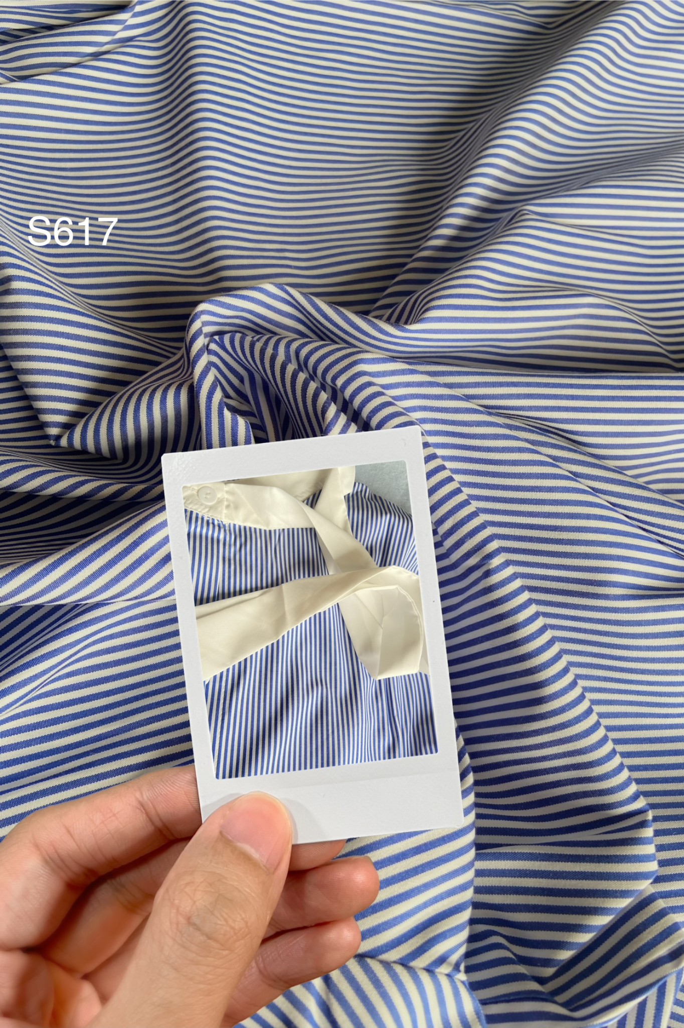 S617_thumbnail_2