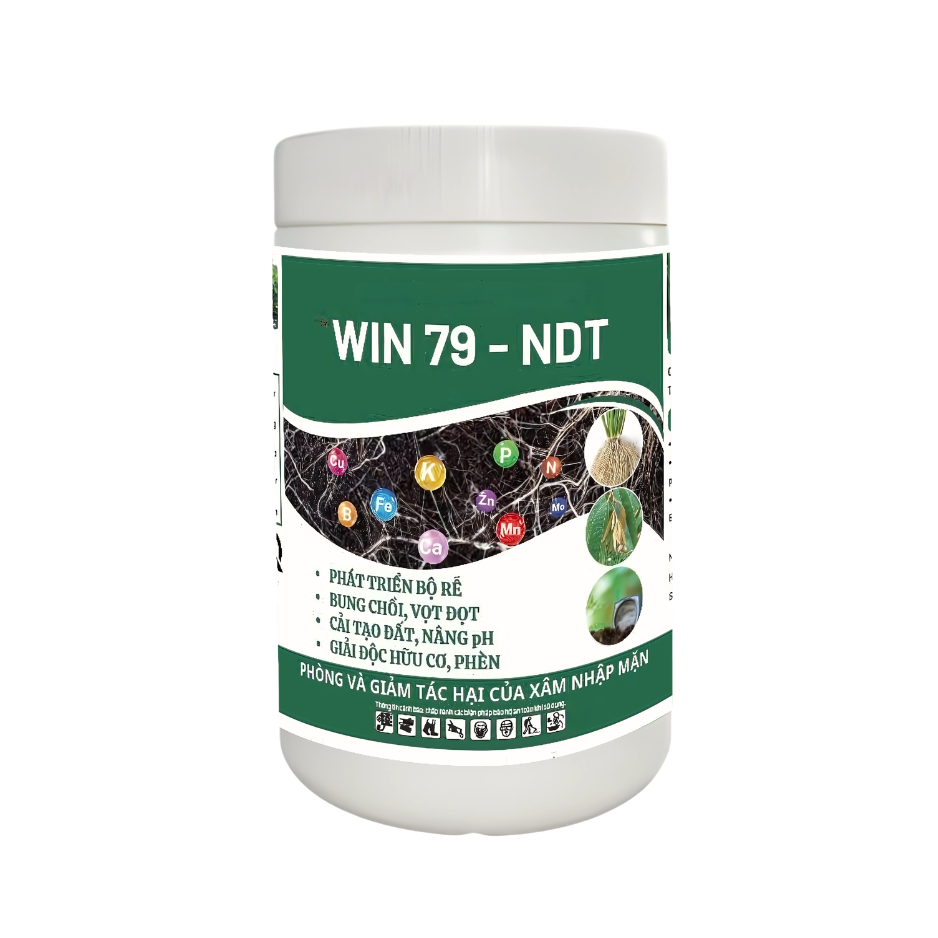 WIN79 NDT