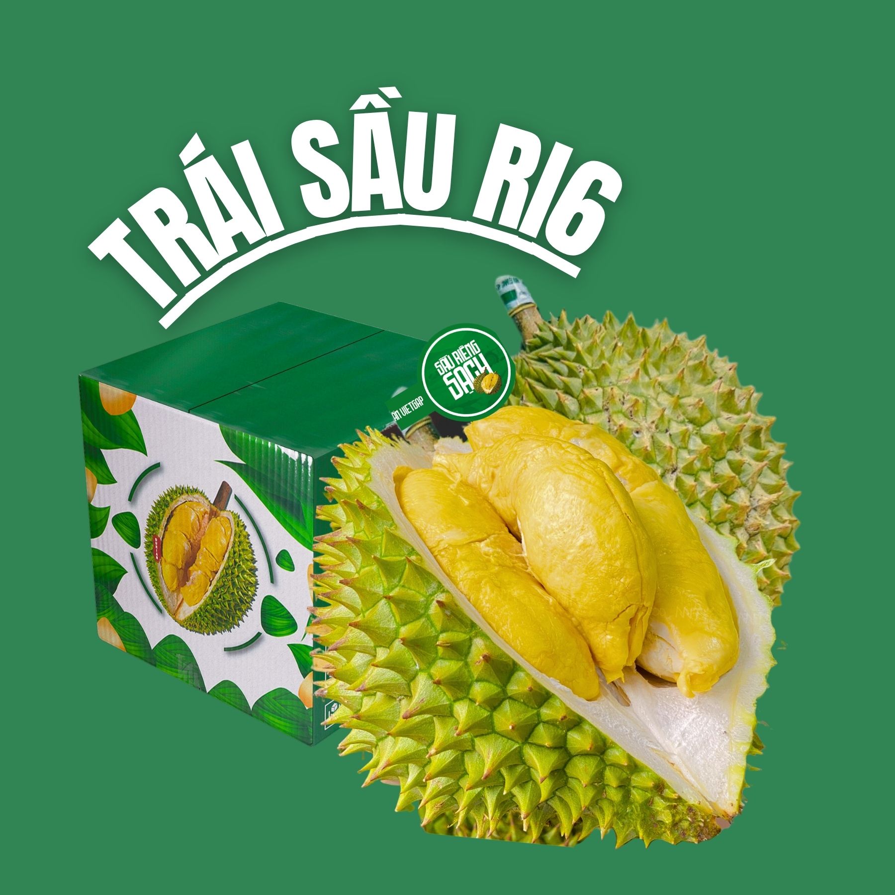 Trái Loại 1 - Sầu Riêng Ri6 MIỀN TÂY ( VIETGAP )_thumbnail_0