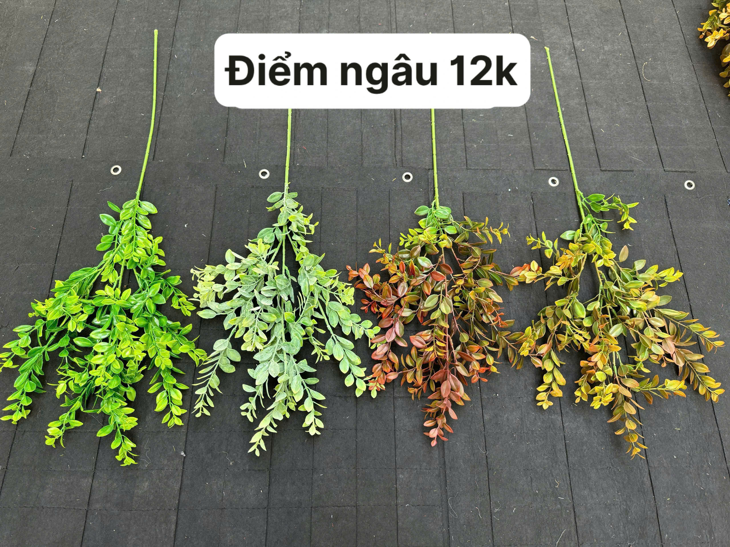 Cành Điểm Ngâu Trang Trí Đám Cưới – Cành Lá Giả Như Thật Cao Cấp Bền Đẹp Dùng Decor Sự Kiện