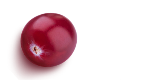 home-product-bg
