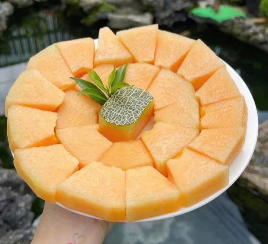 Dưa Lưới Tròn TL3_thumbnail_3