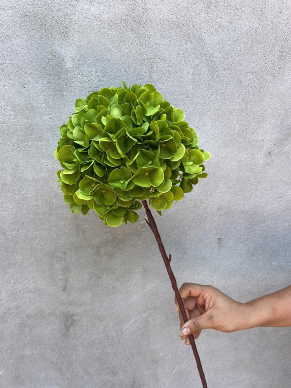 Hoa tú cầu liền cổ lụa cao cấp đẹp như thật, cắm bình sang trọng – decor đám cưới, sự kiện cực dễ_thumbnail_6