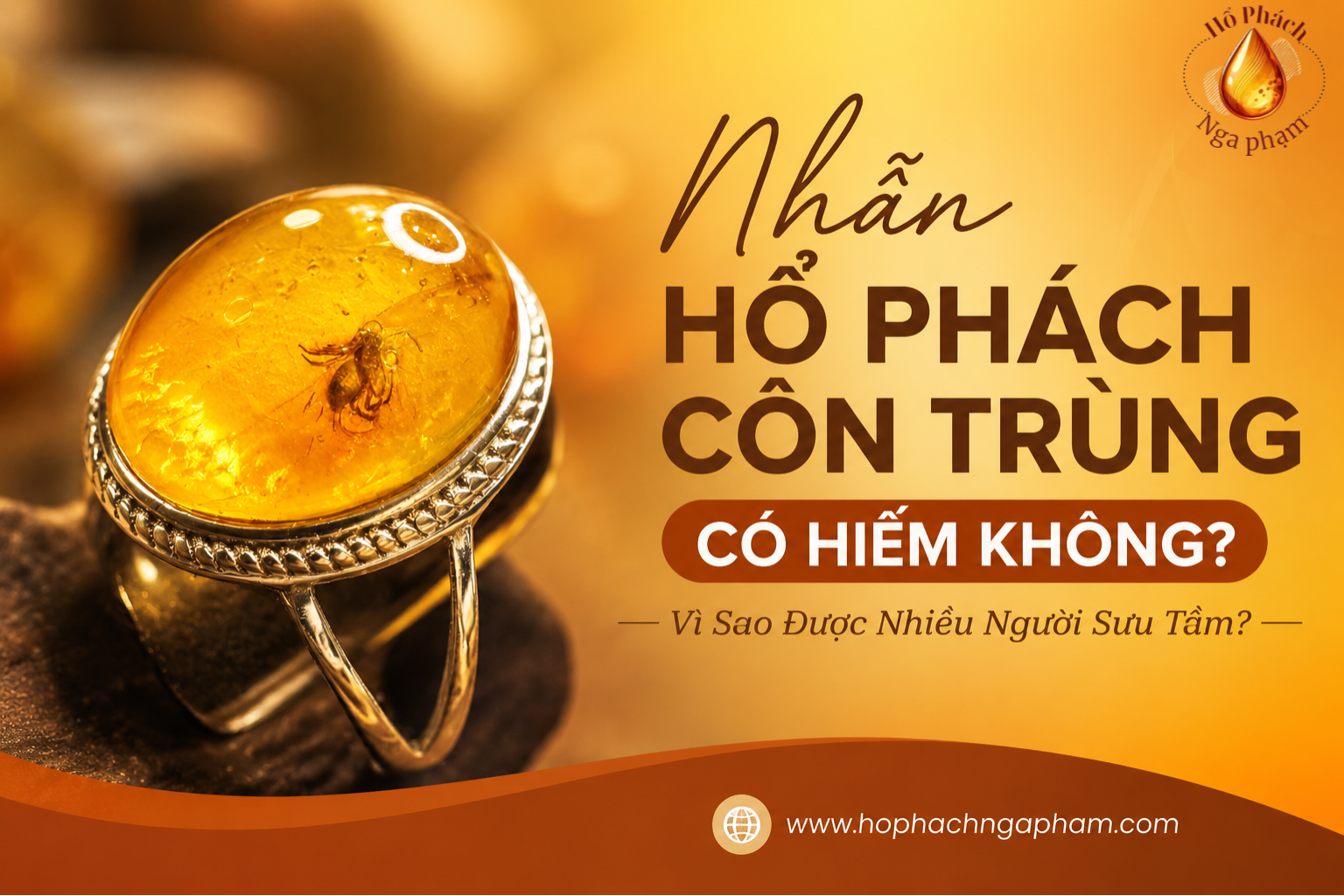 Nhẫn Hổ Phách Côn Trùng Có Hiếm Không? Vì Sao Được Nhiều Người Sưu Tầm?