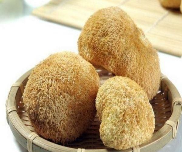 Nấm hầu thủ khô_thumbnail_1