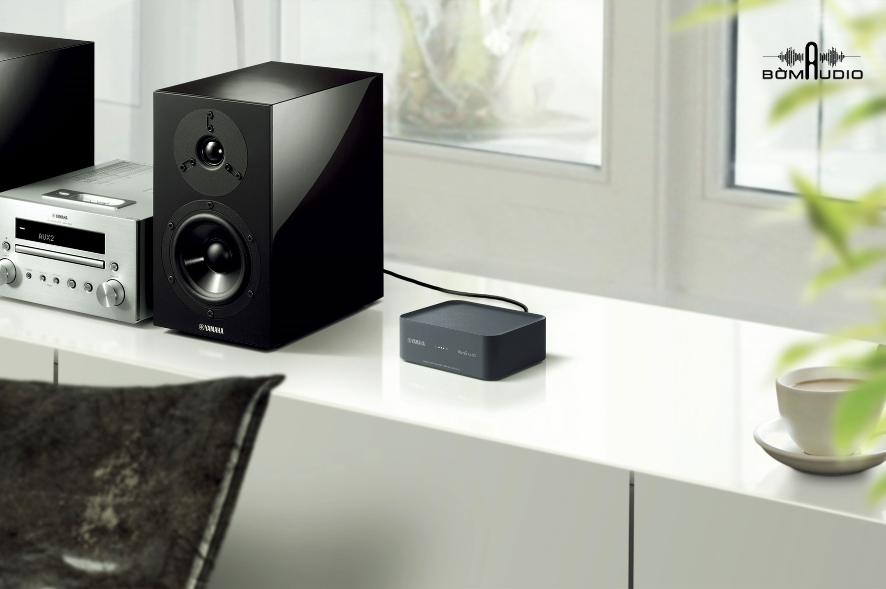 Đầu giải mã DAC YAMAHA WXAD-10