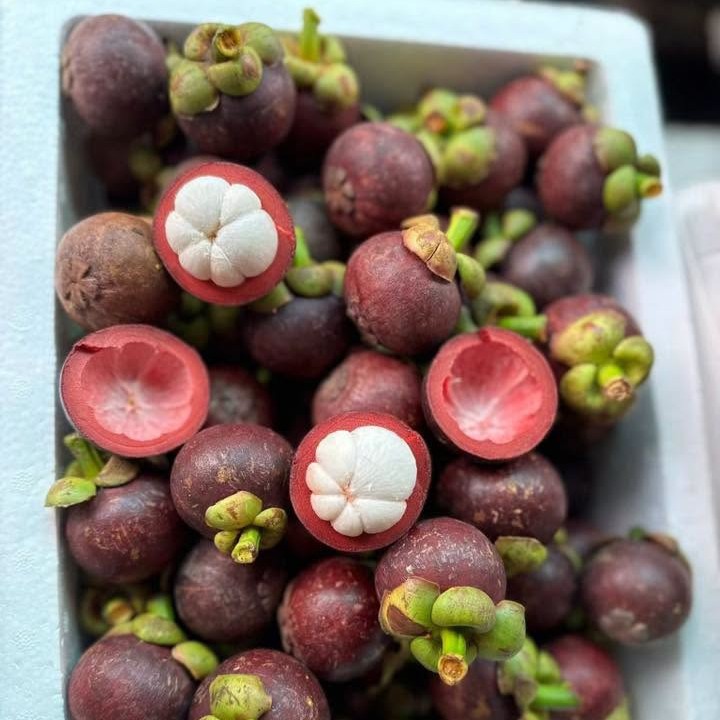 Măng Cụt Bảo Lộc_thumbnail_1