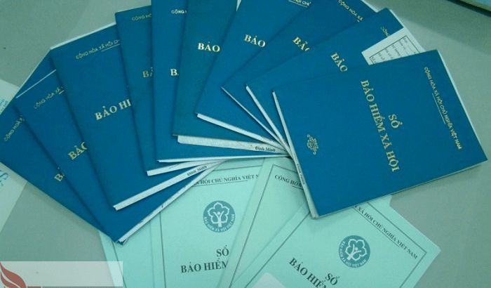 Chủ Hộ Kinh Doanh Bắt Buộc Đóng BHXH Từ 2025 - Mức Đóng Bao Nhiêu? Không Đóng Bị Phạt Gì? | Happy Elsa
