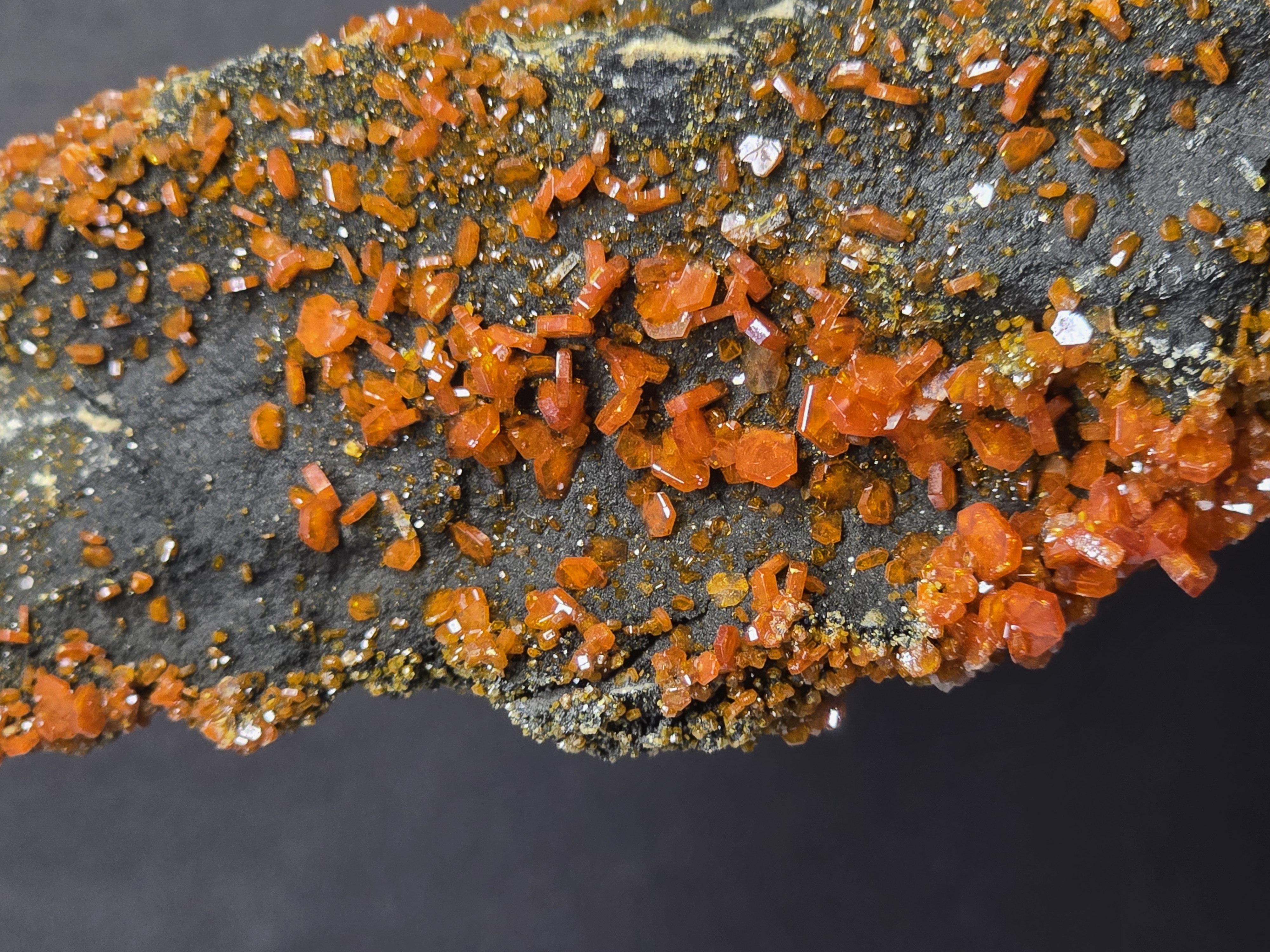 [PRE] Vanadinite từ ACF, Mibladen, Morocco (Kèm Đế Trưng Bày)