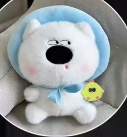CÚN ĐỘI MŨ XANH BIỂN