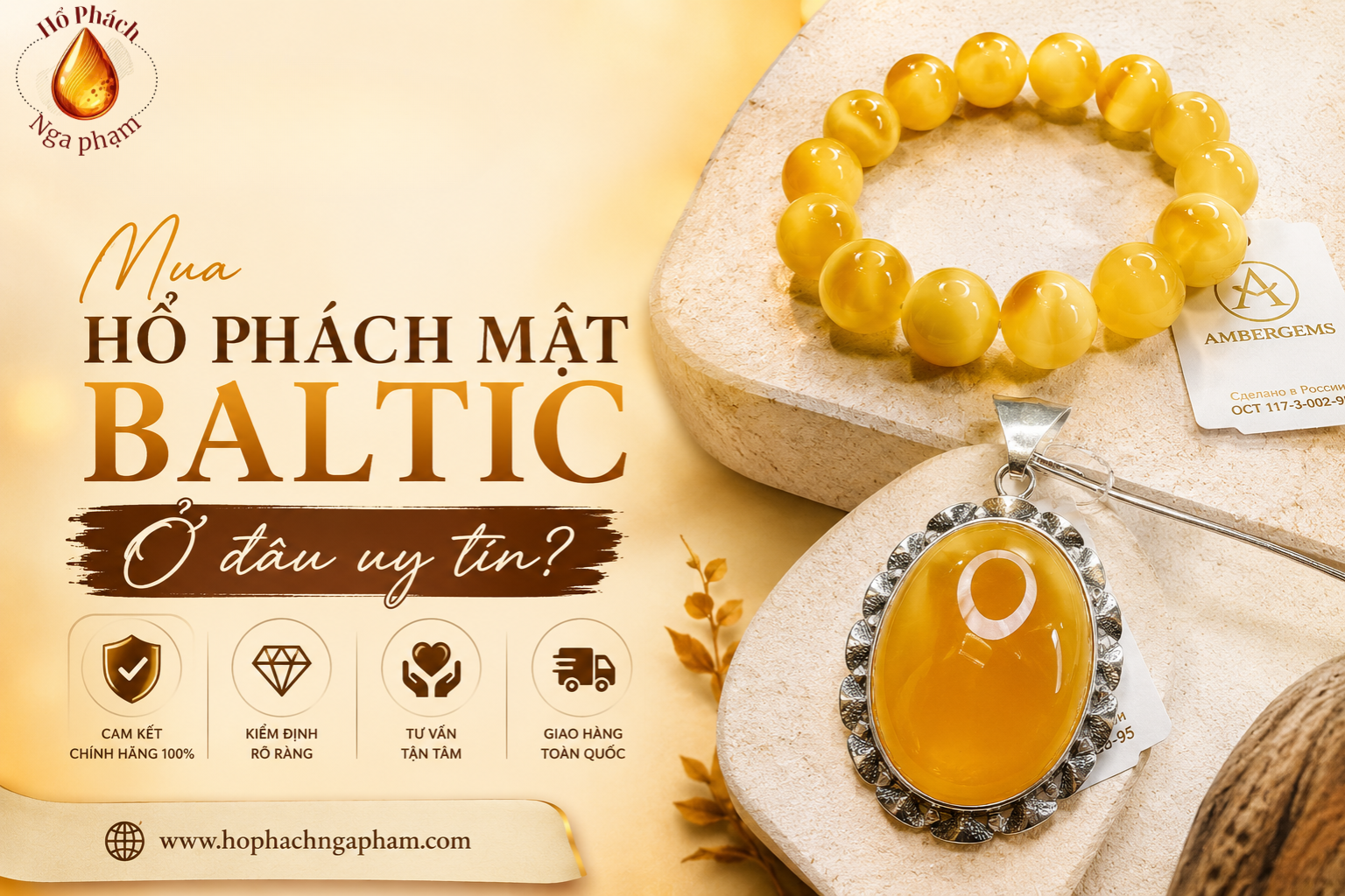 Mua Hổ Phách Mật Baltic Ở Đâu Uy Tín?