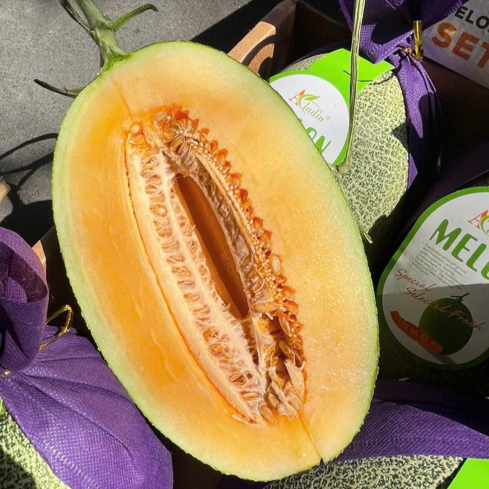 Dưa Lưới_thumbnail_4