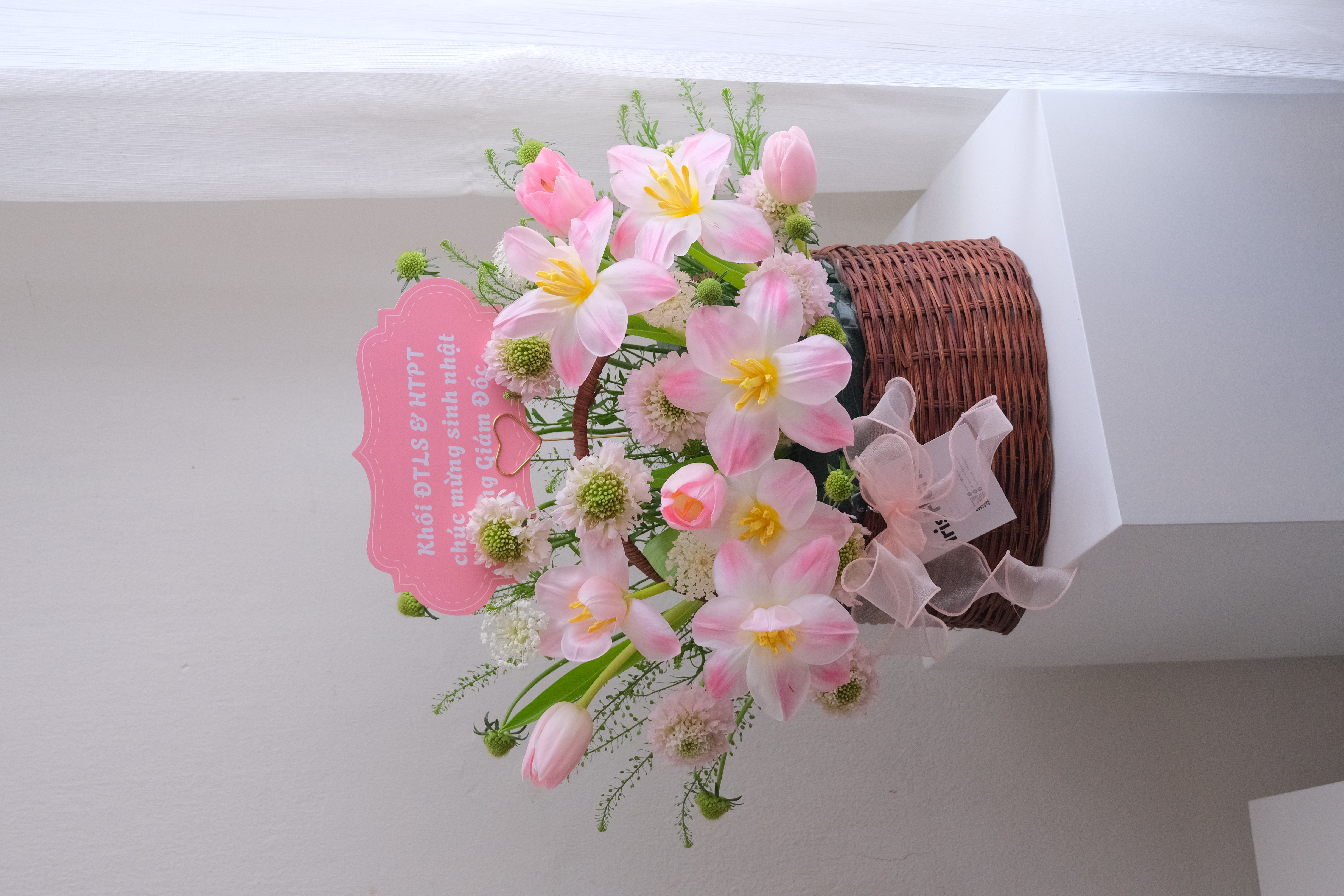 Giỏ mây hoa Tulip hồng mix