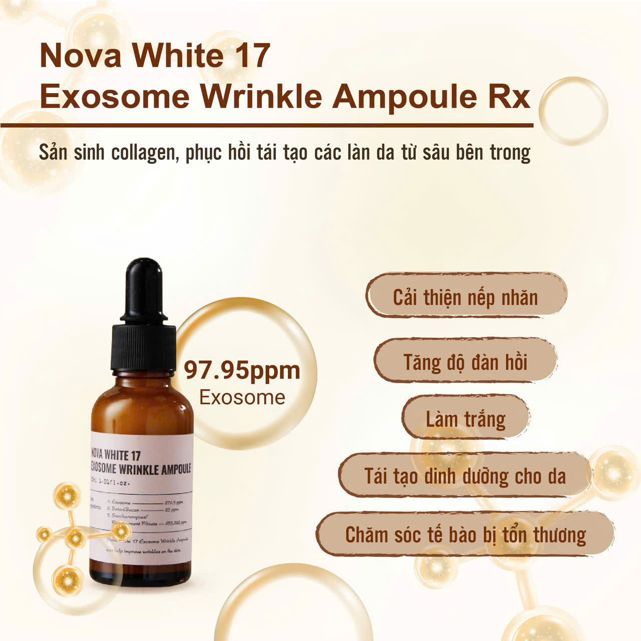 Serum Dưỡng Da I'M BEAUTY NOVA WHITE 17 EXOSOME WRINKLE AMPOULE 30ml