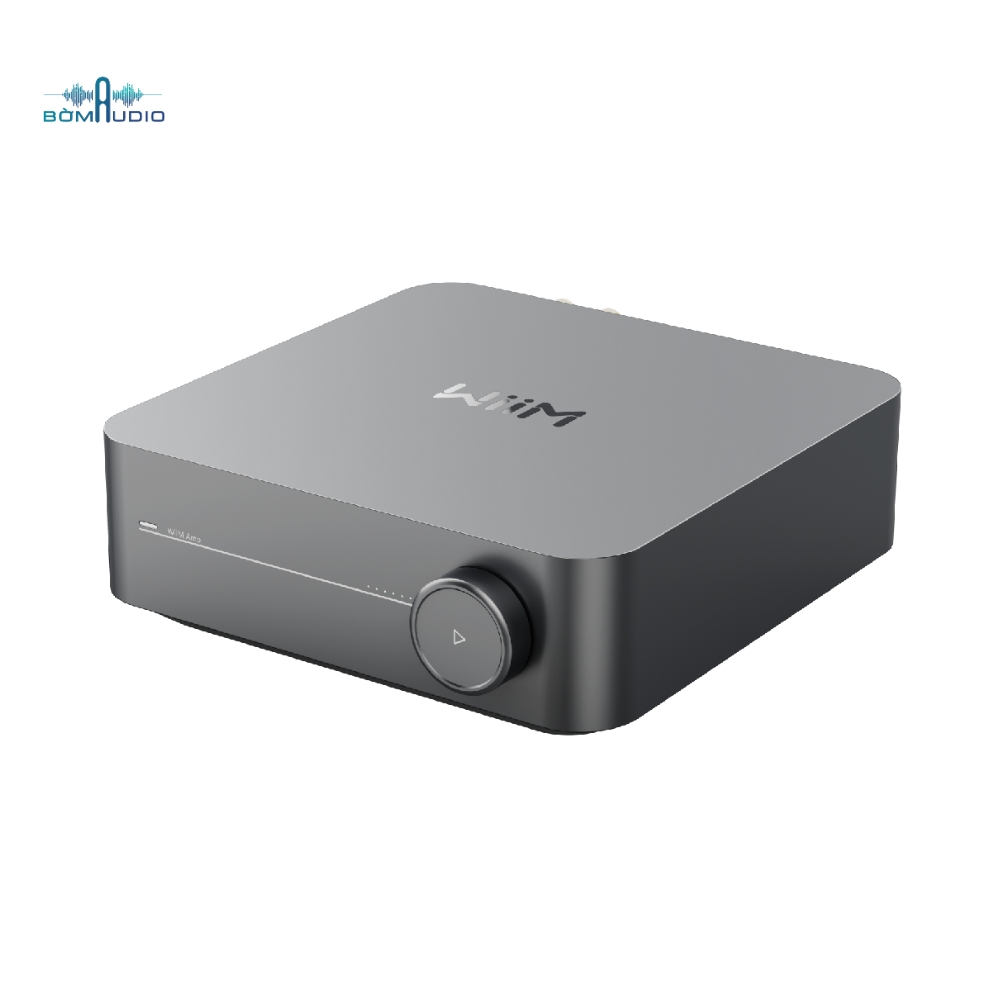 Music Streaming Amplifier WIIM AMP_thumbnail_3