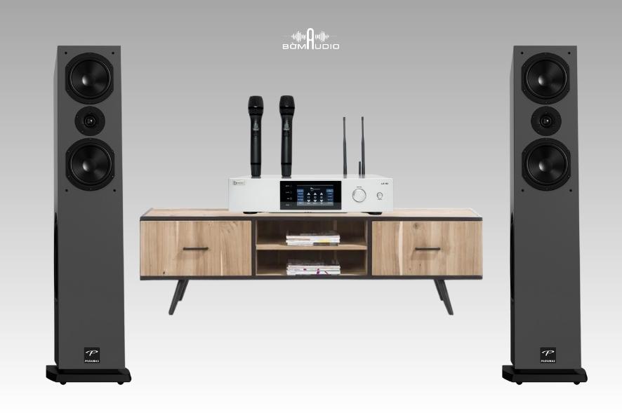 COMBO DBACOUSTIC LX-H5 + LOA PARAMAX D88 LUXURY - B41