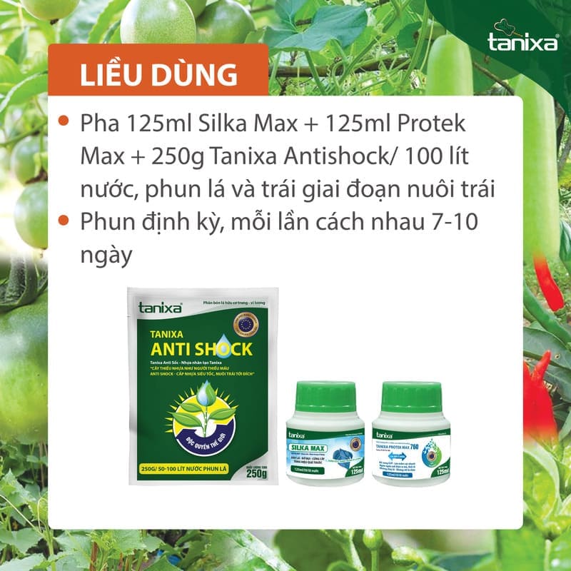 Bộ chuyên to trái - Đẹp trái Tanixa_thumbnail_2