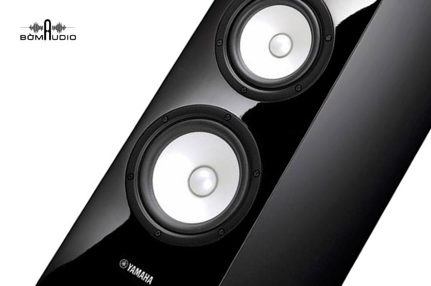 1 loa bass hình nón đường kính 16cm, 1 loa trung hình nón 13cm