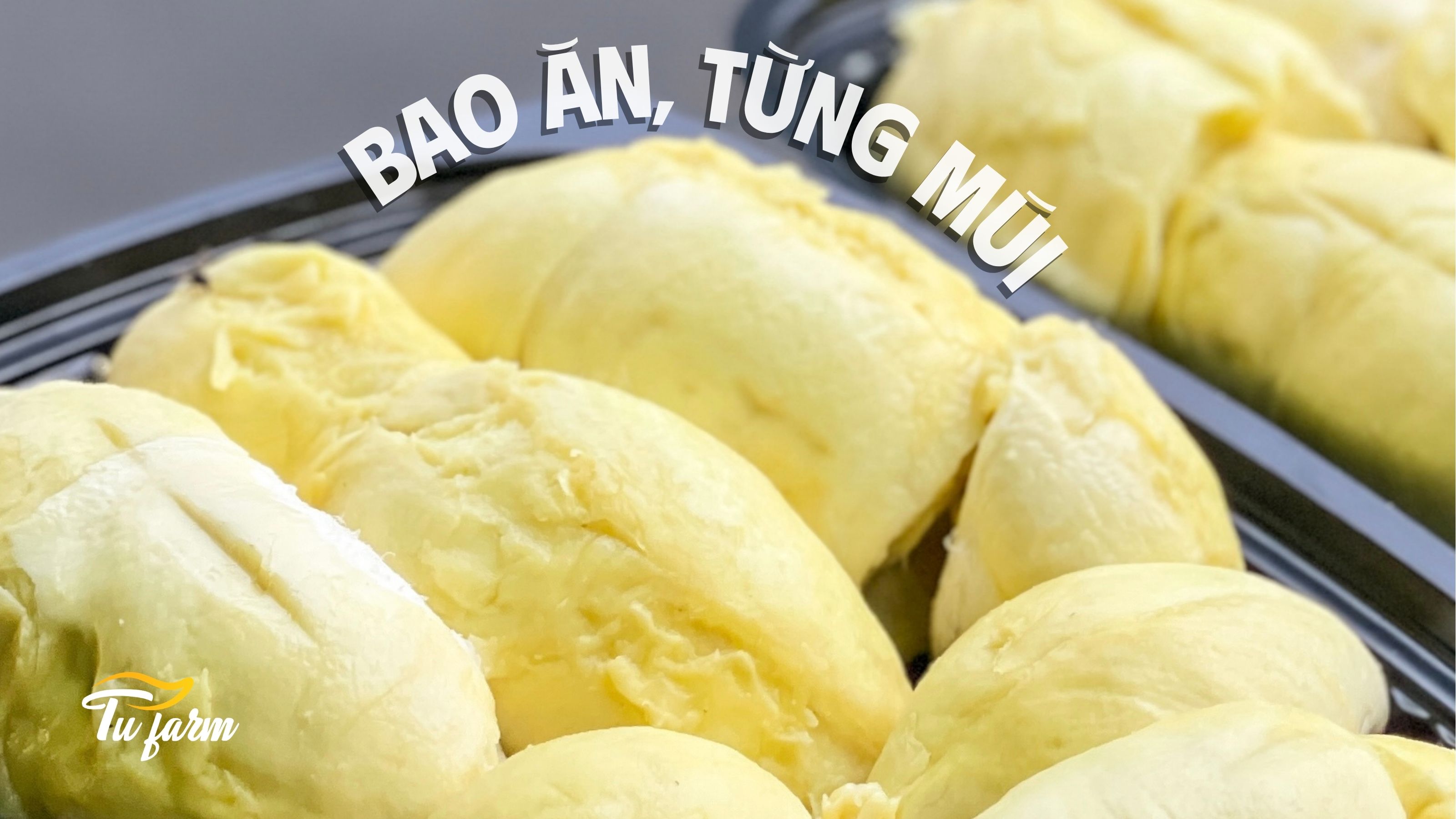 mua sầu riêng dona