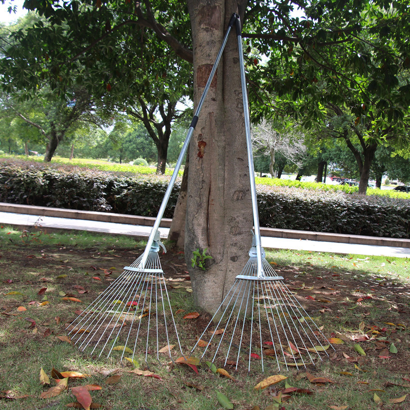 Chổi cào lá cây