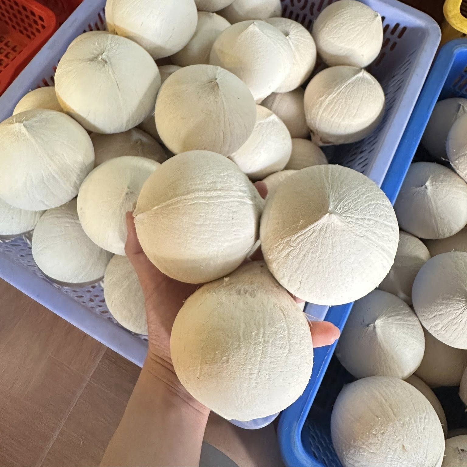 Dừa Xiêm Gọt Trọc_thumbnail_2