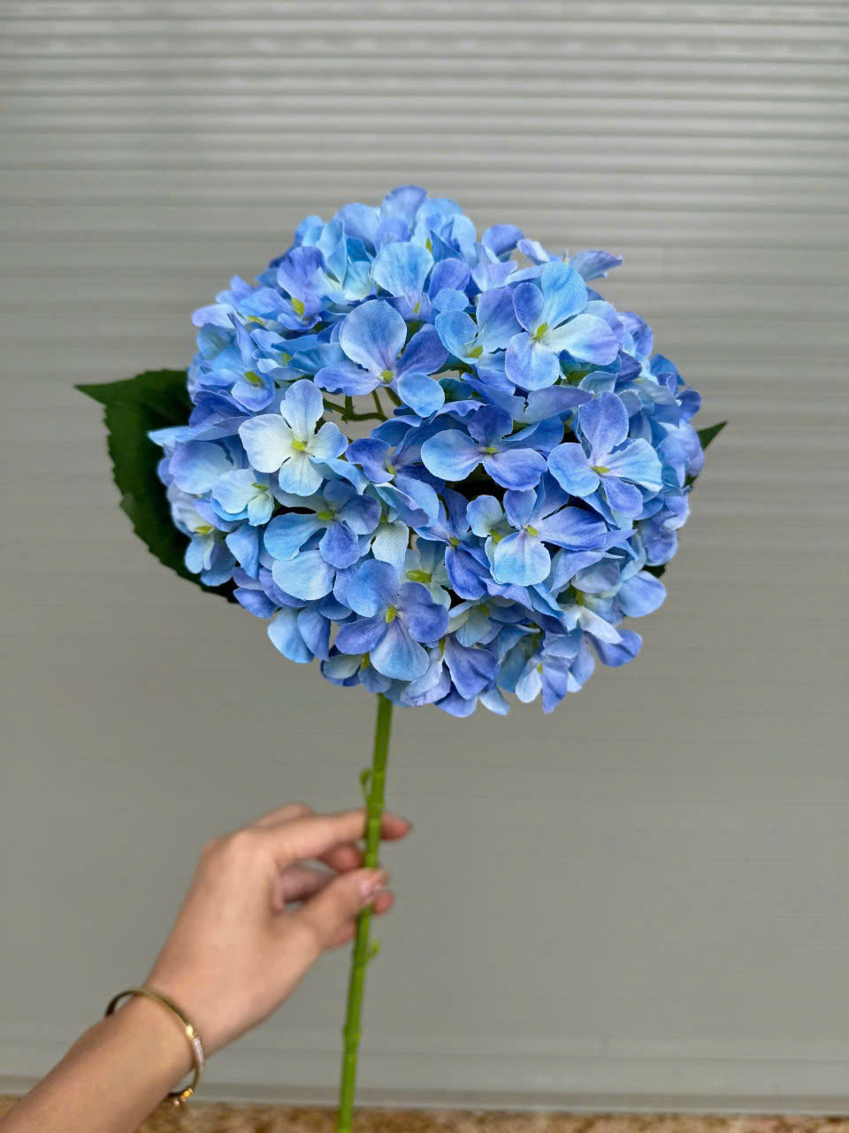 TÚ CẦU 3D_thumbnail_7