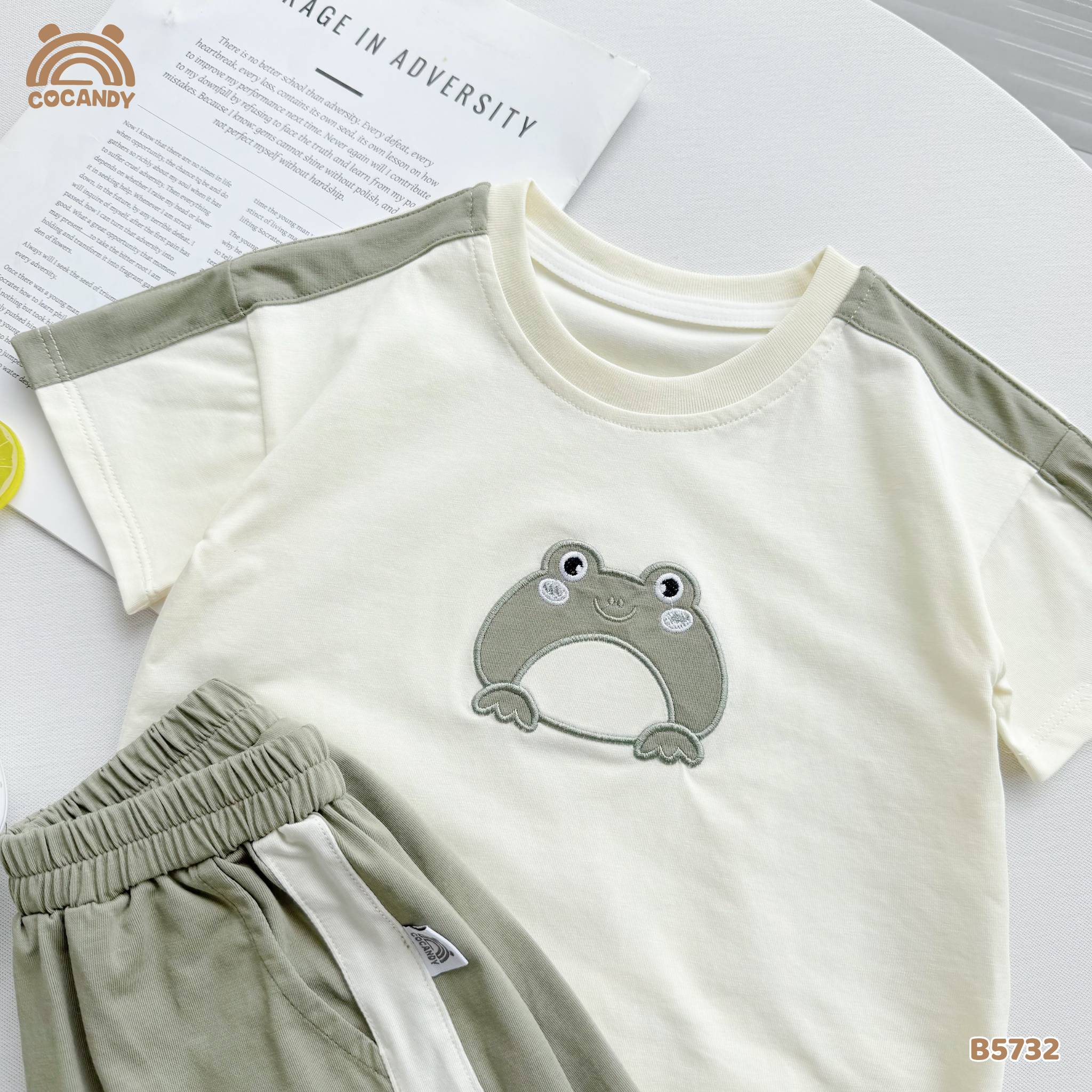 Bộ cộc XANH LÁ hình ếch xanh_thumbnail_1