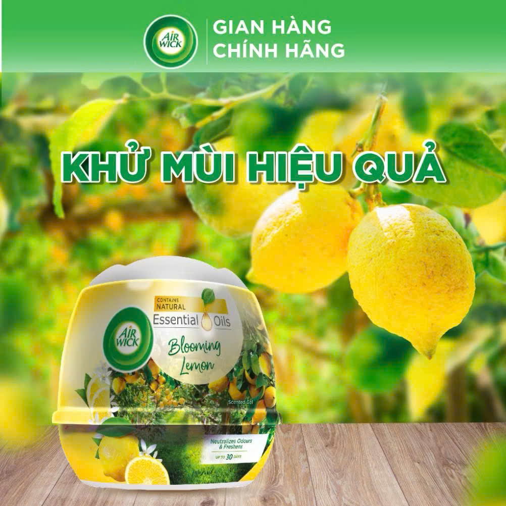 COMBO 3 SÁP THƠM PHÒNG AIR WICK_thumbnail_7