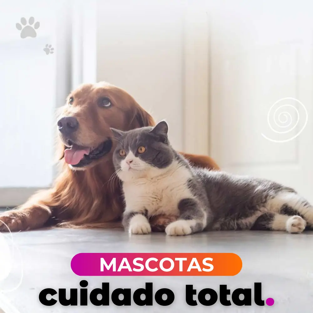 Mascotas_6