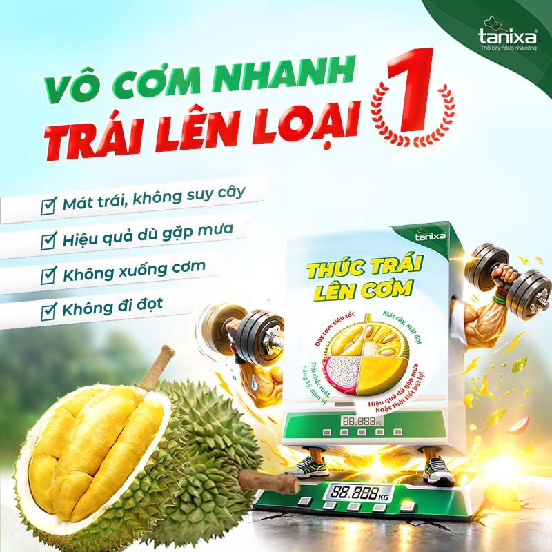 Bộ thúc trái - lên cơm Tanixa (nhỏ)_thumbnail_1