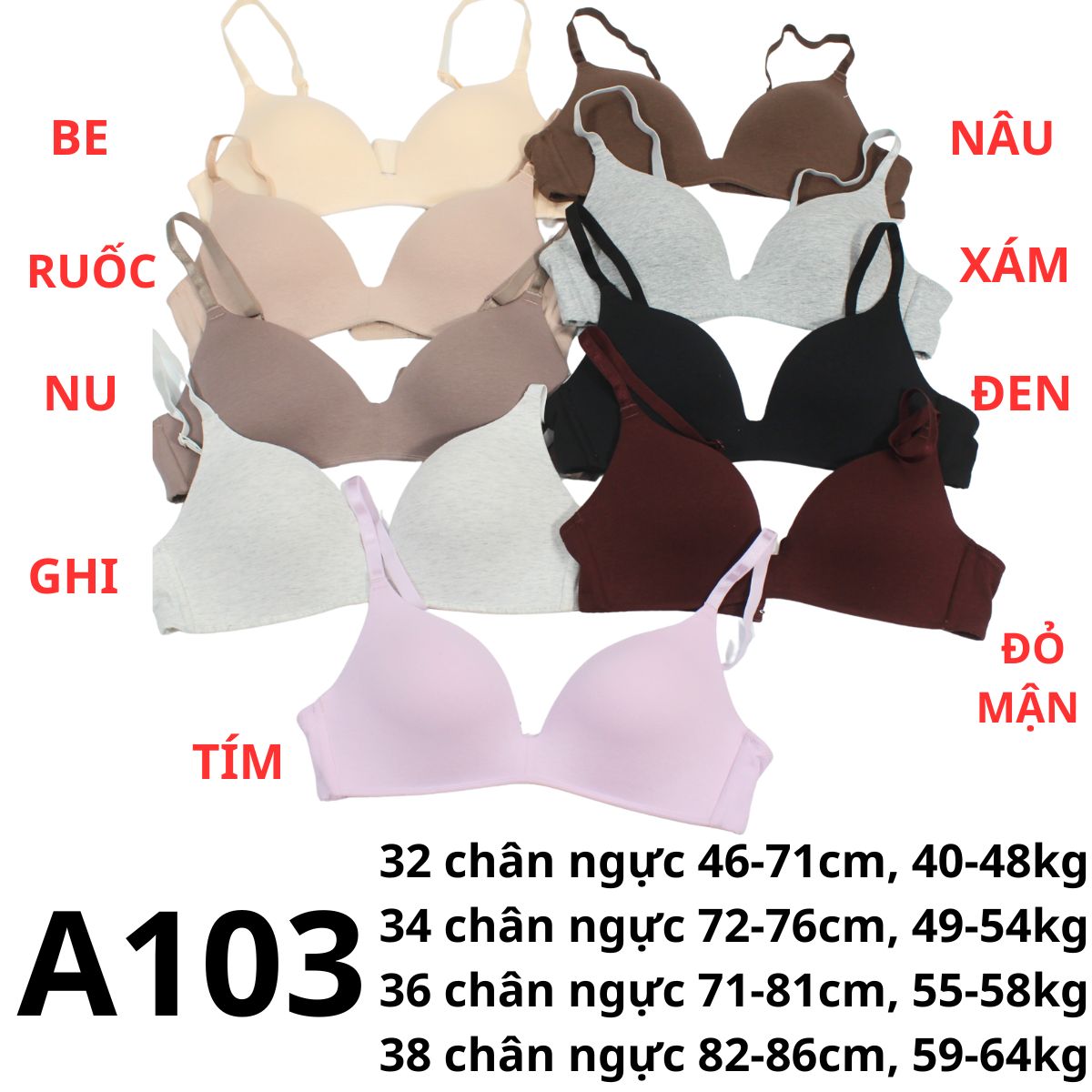 A103 - Bra không gọng