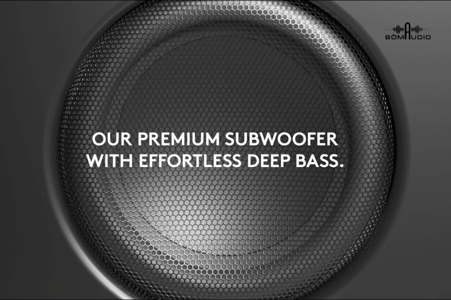 Loa Subwoofer AUDIO PRO SW-10