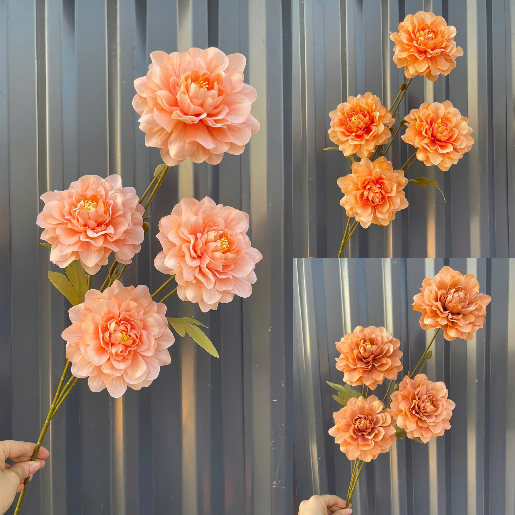 DƯỢC XOĂN 4 BÔNG_thumbnail_3
